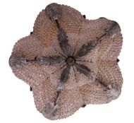 Picture of ANTOINETTE CEILING FIXTURE