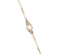 Picture of EGG AND DART CHANDELIER