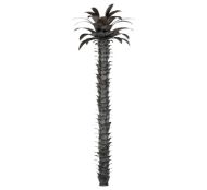 Picture of PALM TREE TORCHIERE