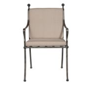Picture of TERRACE DINING CHAIR - ARM