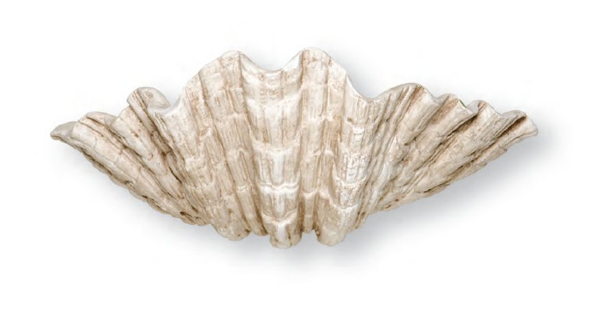 Picture of BAROQUE - VENUS SCONCE