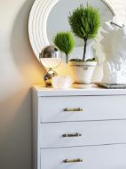 Picture of FREYA MEDIUM PULL LIGHT HORN