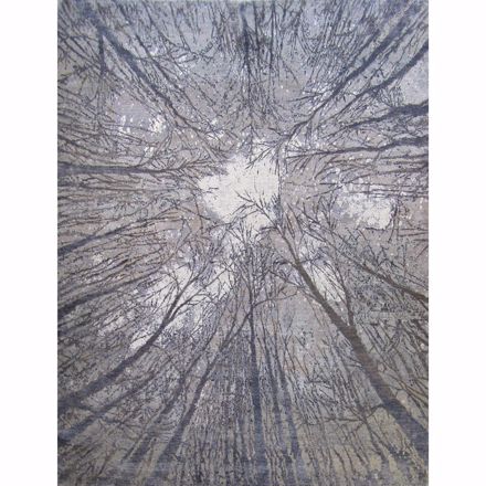 Picture of Moonlit Forest