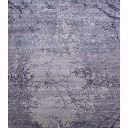 Picture of Morning Frost