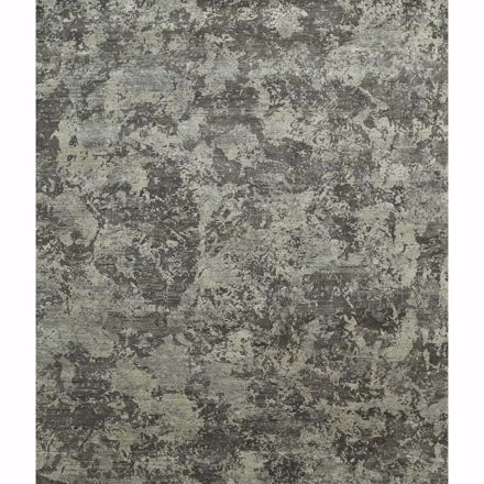 Picture of Night Frost