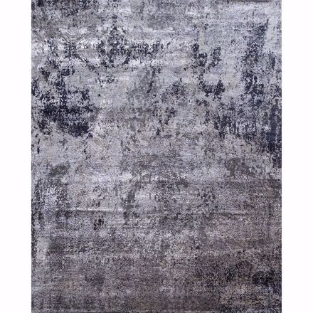 Picture of Night Vision