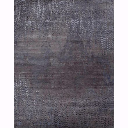 Picture of Peacock Feathers