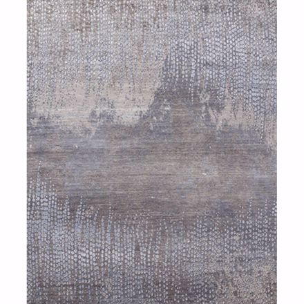 Picture of Peacock Feathers