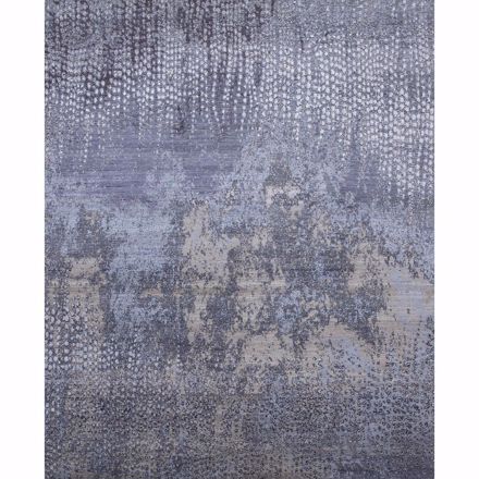 Picture of Peacock Feathers