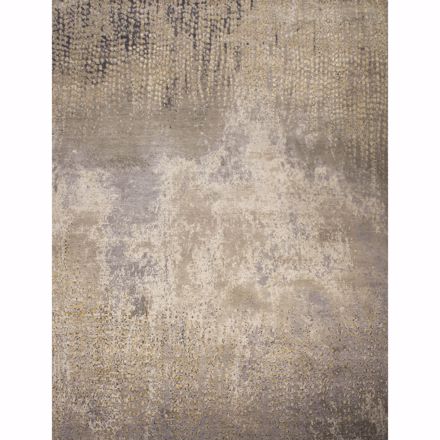 Picture of Peacock Feathers