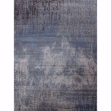 Picture of Peacock Feathers