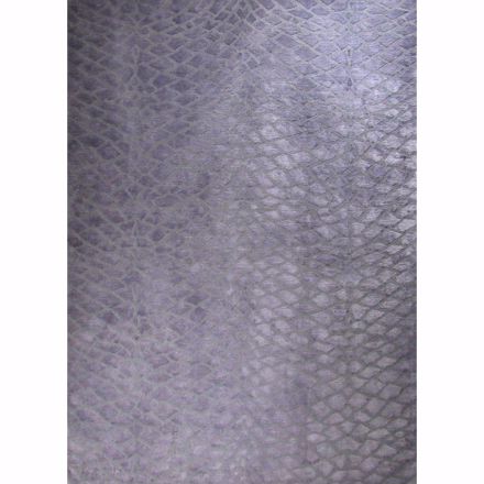 Picture of Reptile II