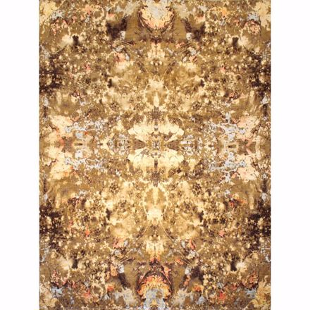 Picture of Supernova