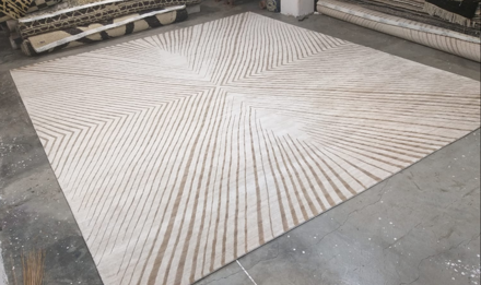 Picture of Raised X-Ray