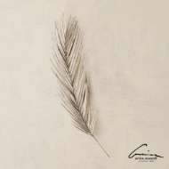 Picture of PALM LEAF-ANTIQUE NICKEL