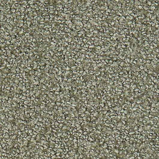 Picture of JUNO SAGE