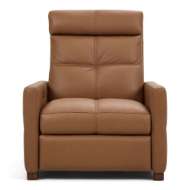 Picture of RAINIER LUXE RECLINER