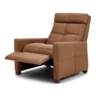 Picture of RAINIER LUXE RECLINER