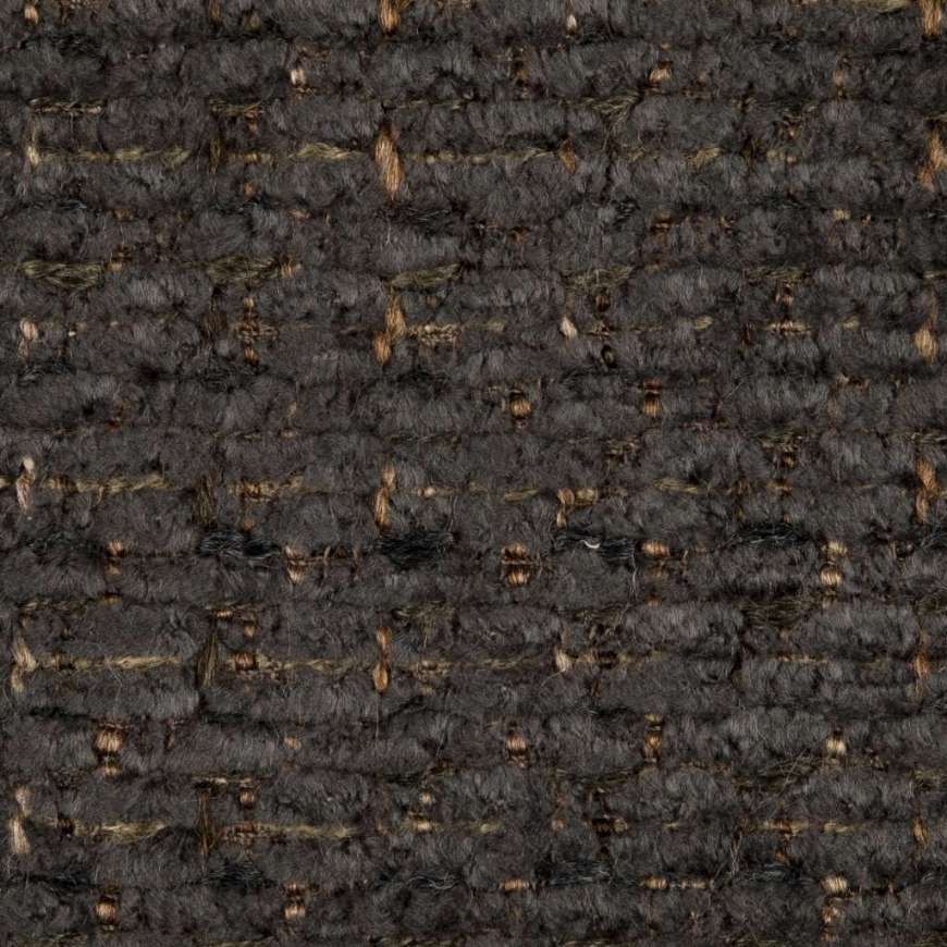 Picture of ASTER CHARCOAL