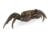 Picture of CRAB SCULPTURE     