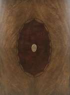 Picture of LUNA CHIFFONIER     