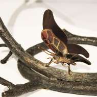 Picture of BUTTERFLY DESK LAMP    