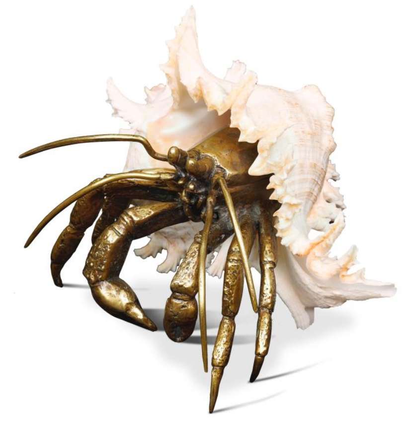 Picture of RAMOSUS SHELL SCULPTURE (SH41-120218)   