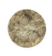 Picture of COASTAL SIDE TABLE    