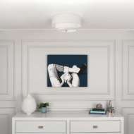 Picture of DECKER FLUSHMOUNT