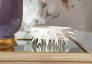 Picture of SPINE MEDIUM BOWL, BLANC DE CHINE