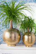 Picture of MALI MEDIUM CACHE POT, BRASS