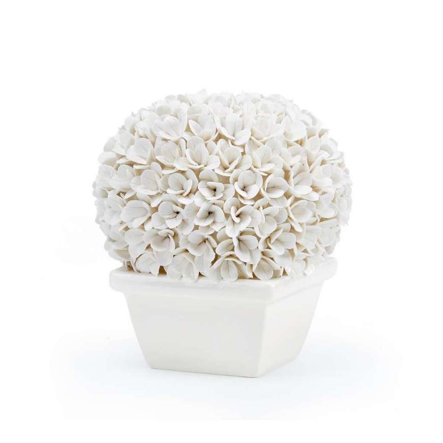 Picture of BOSTON ROUND BOXWOOD TOPIARY, BLANC DE CHINE