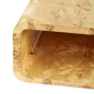 Picture of EMIL COFFEE TABLE, BURL