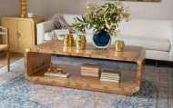 Picture of EMIL COFFEE TABLE, BURL