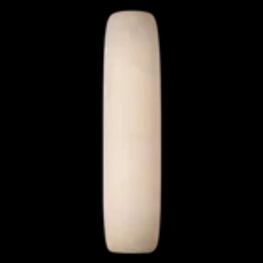 Picture of FORMOSA 20" LINEAR SCONCE