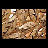 Picture of KELAN SMALL PENDANT