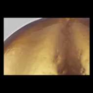 Picture of WHARE LARGE PENDANT