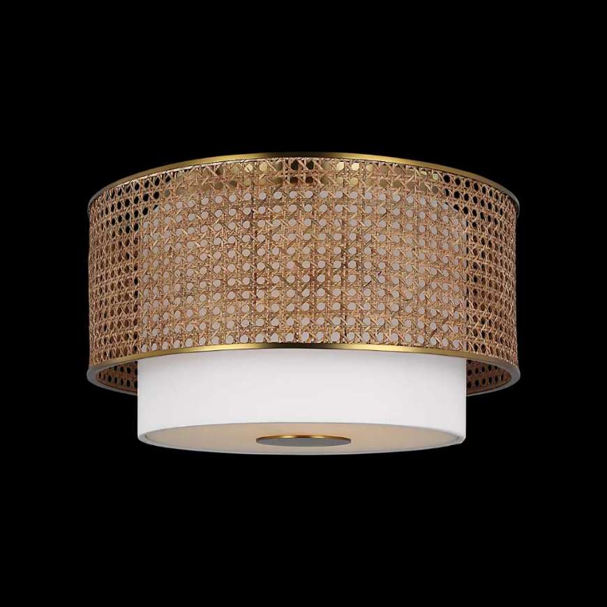 Picture of SAWYER FLUSH MOUNT