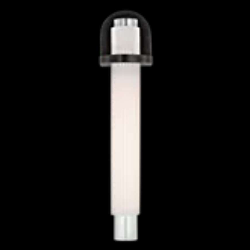 Picture of ARENA 20" SCONCE