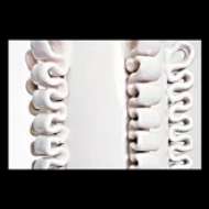 Picture of AMANDINE 25" TABLE LAMP