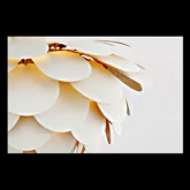 Picture of CYNARA LARGE FLUSH MOUNT