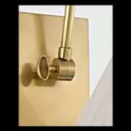 Picture of WIMBERLEY DOUBLE LIBRARY WALL LIGHT