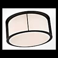 Picture of PHINN 13" FLUSH MOUNT