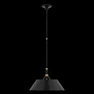 Picture of TURLINGTON LARGE PENDANT