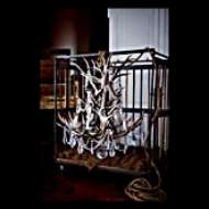 Picture of STRATON SINGLE TIER CHANDELIER