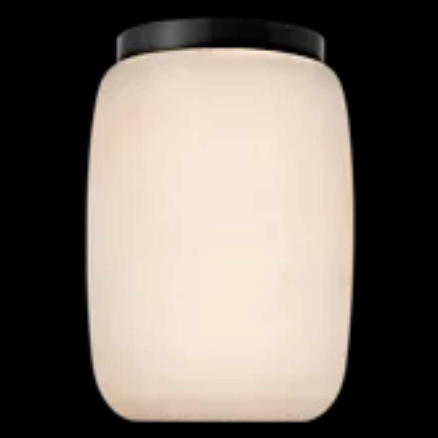 Picture of FORMOSA 5" ELONGATED FLUSH MOUNT