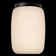 Picture of FORMOSA 5" ELONGATED FLUSH MOUNT