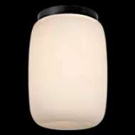 Picture of FORMOSA 5" ELONGATED FLUSH MOUNT