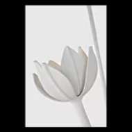 Picture of ALBERTO LARGE LOW CEILING CHANDELIER