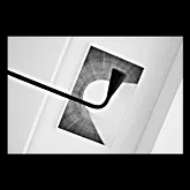 Picture of BRASSICA LARGE LINEAR CHANDELIER